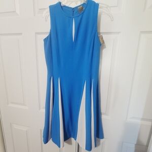 Women Dress, Brand Taylor, Size 6, Blue & White